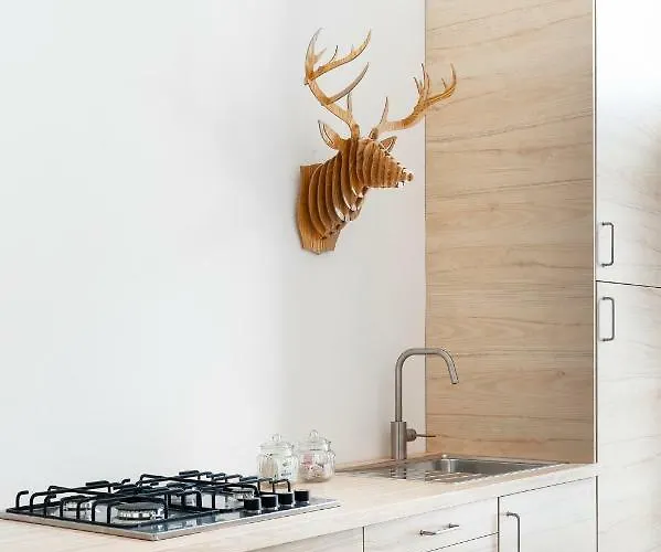 Artisan Daire *